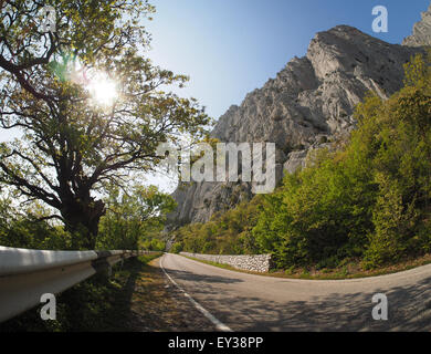 asphaltierte Straße in die Berge. Crimea Stockfoto