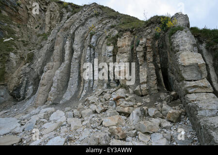 Vertikale Purbeck Kalkstein Betten, Mann o Krieg Strand, Durdle Door, Dorset Stockfoto