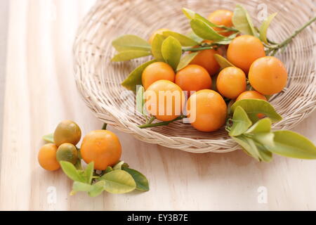 Vollreife haben, Kumquat, Citrofortunella Microcarpa im Korb auf Holzbrett Stockfoto