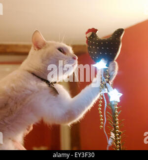 Weiße Katze spielt mit einem Weihnachts-Huhn Dekoration auf einem Weihnachtsbaum. Stockfoto