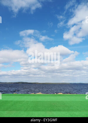 Kunstrasen auf dem See Stockfoto