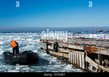 Ein Mitglied des Personals auf einem Schlauchboot in der Nähe einer Anlegestelle auf dem gefrorenen Ozean auf der Esperanza Base. Adelie-Pinguine auf dem Steg. Stockfoto