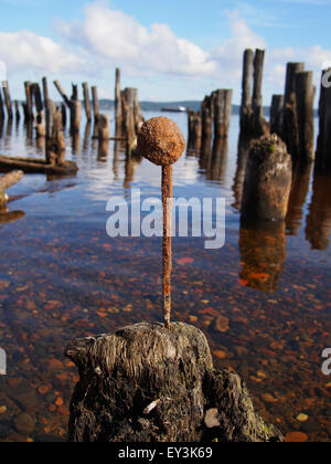 alten rostigen Nagel am See Stockfoto