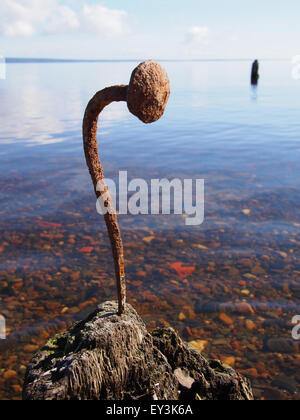 alten rostigen Nagel am See Stockfoto