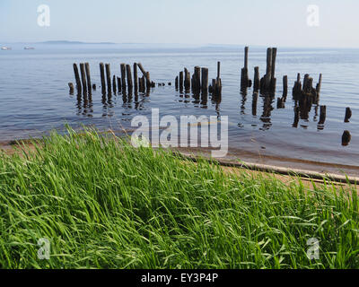 alten Pfählen im See Stockfoto