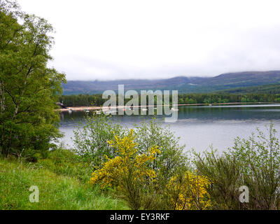 Loch Morlic auf einem feuchten nassen Tag, Glenmore, Cairngorms, Aviemore, Scotland, UK. Stockfoto