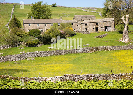 Attraktive Wirtschaftsgebäude in Deepdale in Langstrothdale, Yorkshire Dales National Park, England, UK Stockfoto