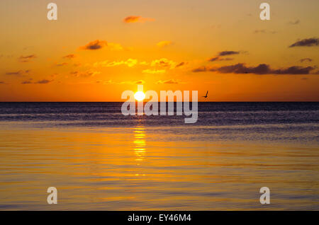 Caye Caulker Sonnenuntergang Stockfoto