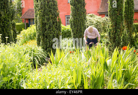 Gärtner im Garten Wyken Hall Gärten, Suffolk, England, UK Stockfoto