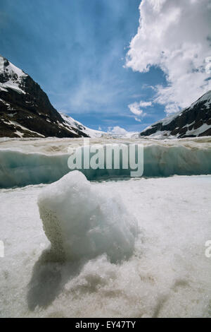 Der Athabasca-Gletscher in den kanadischen Rockies. Stockfoto