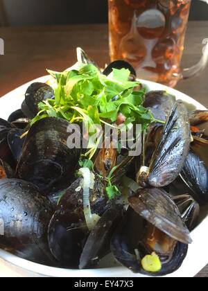 Schale mit Muscheln und Krug Bier, Gourmet-Restaurant Essen, USA Stockfoto