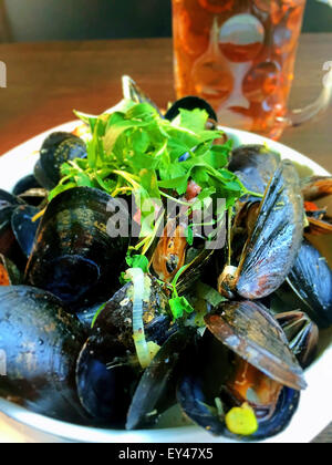 Schale mit Muscheln und Krug Bier, Gourmet-Restaurant Essen, USA Stockfoto