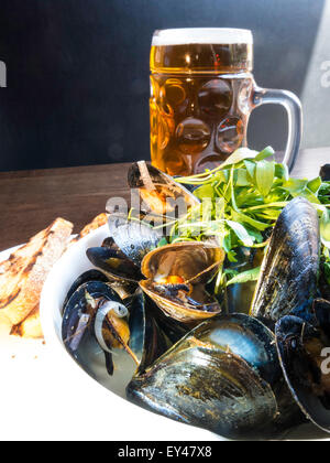Schale mit Muscheln und Krug Bier, Gourmet-Restaurant Essen, USA Stockfoto