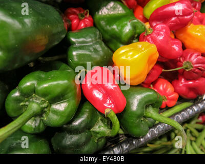 Gemischt AndGreen Red Hot Chili Peppers, Lebensmittelgeschäft, USA Stockfoto