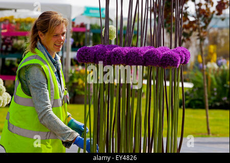 Tatton Park, Cheshire, UK. 21. Juli 2015. Die RHS Flower Show an Tatton Park öffnet. Aussteller setzen finishing berührt Garden Show Stockfoto