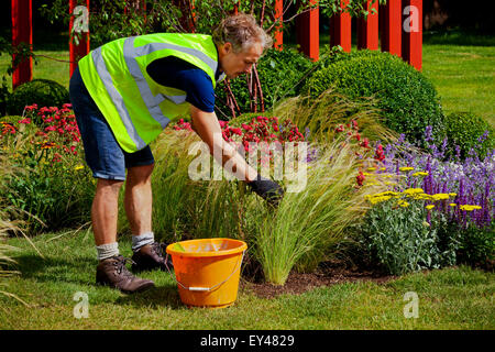 Tatton Park, Cheshire, UK. 21. Juli 2015. Die RHS Flower Show an Tatton Park öffnet. Aussteller macht Last-Minute-Anpassungen vor Garten öffnet für die Öffentlichkeit Stockfoto