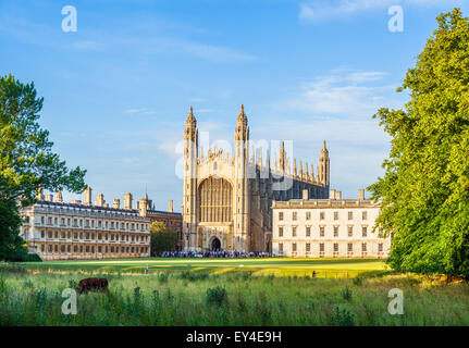 Kings College Chapel, Clare College und Gibbs Building aus dem Rücken Cambridge Universität Cambridgeshire England UK GB Europa Stockfoto