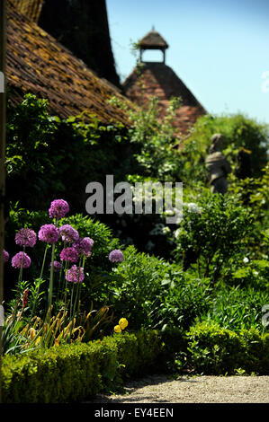 Alliums im Parterre Garten mit Taubenschlag jenseits Garsington Manor, Oxfordshire UK Stockfoto