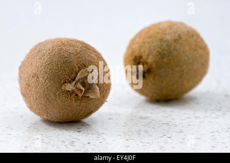 Zwei ganze Frische Kiwis auf Arbeitsplatte Stockfoto