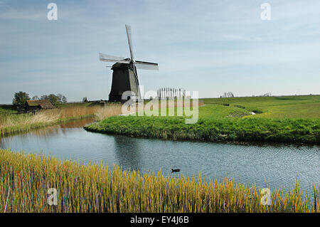 Windmühle im Bereich des Grases und der Fluss Stockfoto