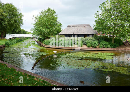 Der Fluss Sau durch Victoria Park Stafford Staffordshire UK Stockfoto