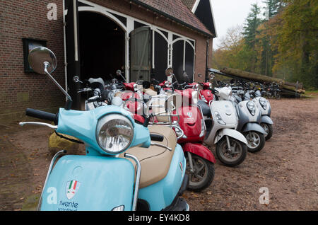 DENEKAMP, Niederlande - 15. November 2014: bunte italienischen Roller bereit, gemietet werden. Stockfoto