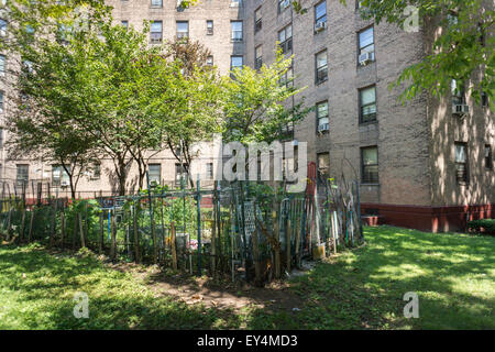 Ein Gartengrundstück in Queensbridge Süd Häuser in Queens in New York am Donnerstag, 16. Juli 2015. New York wird die Bereitstellung kostenloser Breitbandzugang zu fünf Wohnbauprojekte in der Stadt über ein pilot-Programm ConnectHome. Neben den Queensbridge North und South Projekte werden Mott Haven und Red Hook Ost und West Teil des Programms. Queensbridge ist das größte Wohnprojekt im Land und das Programm bieten Zugriff auf 16.000 Einwohner aus den 400.000 in NYCHA Projekte Leben.  (© Richard B. Levine) Stockfoto