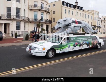 Brighton, East Essex, UK, Vereinigtes Königreich, England, Limousine, Hund Mock up, Madeira Drive, Werbung, Straße, im Freien, Werbung, Sommer, Windhund, Stockfoto