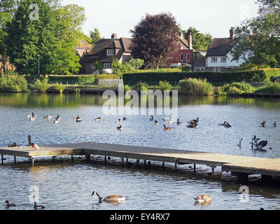 Blick auf den Bootsanleger und Enten in den Gewässern von Petersfield Heath an einem Sommerabend Stockfoto