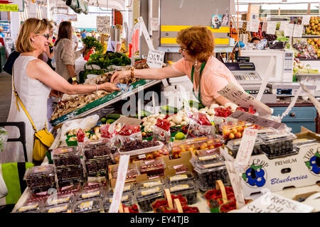 Frau kauft Obst bei Jean Talon Market in Montreal, Kanada Stockfoto