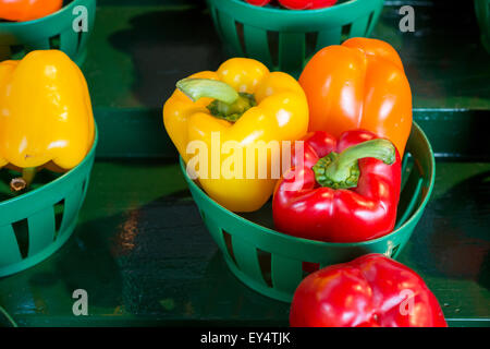 3 Arten von Paprika auf dem Markt Stockfoto