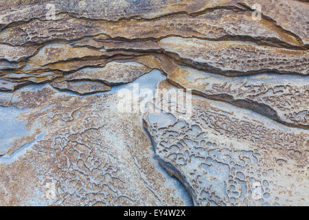 Abstrakte gemusterten Sandstein auf Schmuggler Park Strand auf Protection Island, Britisch-Kolumbien Stockfoto