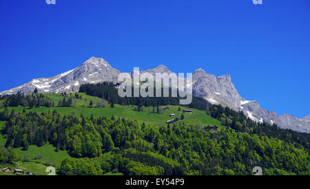 Blick auf Berge und Wald Engelberg, Schweiz Stockfoto