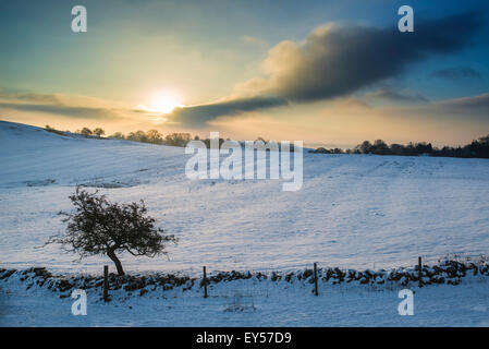 Wunderschönen Sonnenaufgang Landschaft über Schnee bedeckt Winterlandschaft Stockfoto