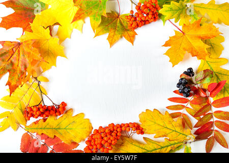 Herbstlaub auf weißem Hintergrund Stockfoto