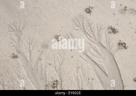 Full-Frame erosive Sand Muster und Wattwurm wirft im sand Stockfoto