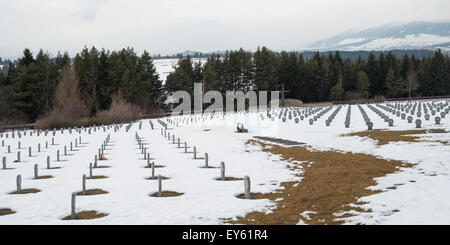 Deutscher Soldatenfriedhof aus dem zweiten Weltkrieg in Vazec, Slowakei Stockfoto