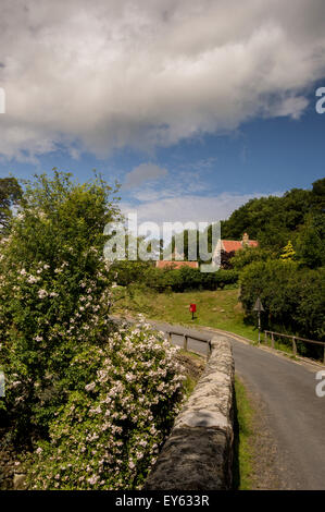 Beck Loch, North Yorkshire, Vereinigtes Königreich Stockfoto