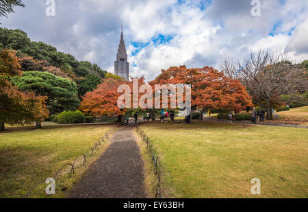 Shinjuku Gyōen Park im Herbst, Tokyo, Japan Stockfoto