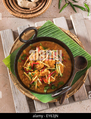 Adraki Murgh. Ingwer-Huhn-Curry. Indien-Essen Stockfoto