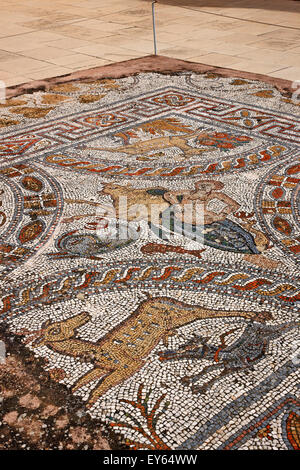 Schönen Mosaik (Roman Period) auf der Terrasse der archäologischen Museum von Naxos Insel Chora Naxos, Kykladen, Griechenland. Stockfoto