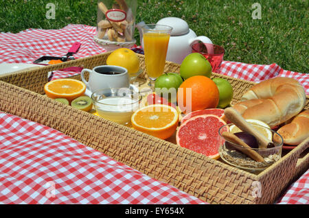 Frühstück oder Brunch mit frischen Kaffee, Croissants, Kekse, Müsli, Orangensaft und Obst auf Picknick-Tisch und Rasen serviert Stockfoto