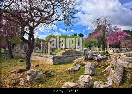 Die Palästra im antiken Olympia, der Geburtsstätte der Olympischen Spiele, Ilia, Peloponnes, Griechenland. Stockfoto