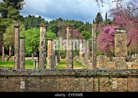Die Palästra im antiken Olympia, der Geburtsstätte der Olympischen Spiele, Ilia, Peloponnes, Griechenland. Stockfoto