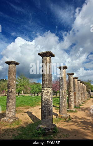 Die Palästra im antiken Olympia, der Geburtsstätte der Olympischen Spiele, Ilia, Peloponnes, Griechenland. Stockfoto