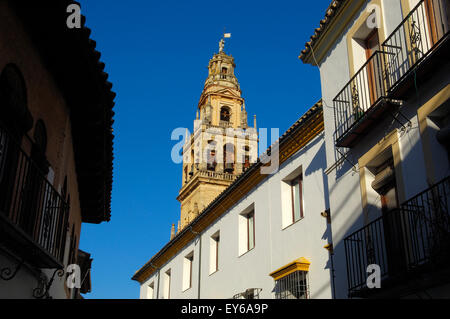 Minarett der großen Moschee-Kathedrale Cordoba Turm. Andalusien, Spanien Stockfoto