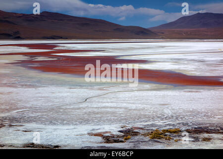 Laguna Colorada. Eduardo Avaroa Nationalreservat. Bolivien Stockfoto