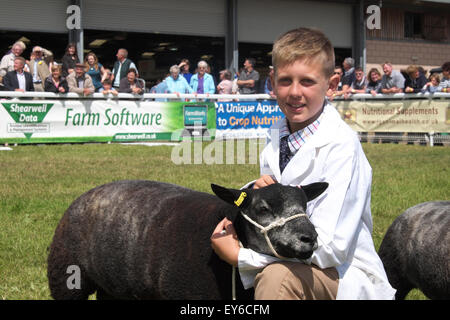 Builth Wells, Powys, Wales, UK. 22. Juli 2015. Tag 3 - Sonne bescheint junge Harry Fuller mit seinem blauen Texel Lamm am Young-Handler-Event auf der Royal Welsh Show teilnehmen. Harry im Alter von entstammt 10 Jahren Whitland, Camarthanshire, Wales. Stockfoto