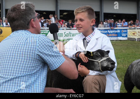 Builth Wells, Powys, Wales, UK. 22. Juli 2015. Tag 3 - Young Harry Fuller mit seinem blauen Texel Lamm wird in der Show-Arena, die Teilnahme an der Young-Handler-Veranstaltung auf der Royal Welsh Show interviewt. Harry im Alter von entstammt 10 Jahren Whitland, Camarthanshire, Wales. Stockfoto