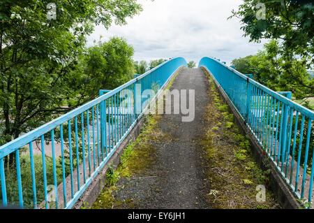 Moos und Unkraut überdachte Fußgängerbrücke über eine Autobahn zeigt es selten verwendet wird Stockfoto